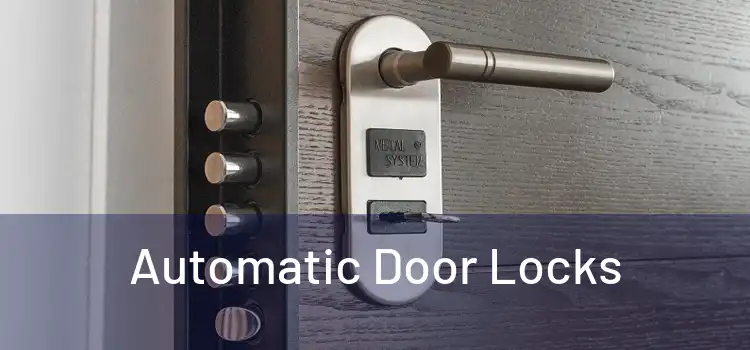 Automatic Door Locks
