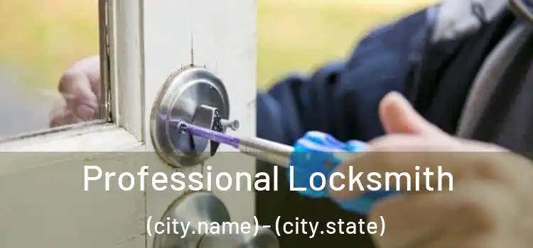 Professional Locksmith (city.name) - (city.state)